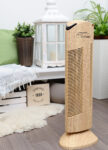 Purificatore d'aria Ionic-CARE, in ambienti chiusi ingresso con decorazioni in legno e piante, finitura legno rovere