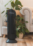 Purificatore d'aria Ionic-CARE in ambienti chiusi se světlou pohovkou, dlouhou záclonou a pokojovou rostlinou monsterou, colore nero