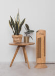 Purificatore d'aria Ionic-CARE u dřevěného odkládacího stolku s pokojovými rostlinami, finitura legno rovere